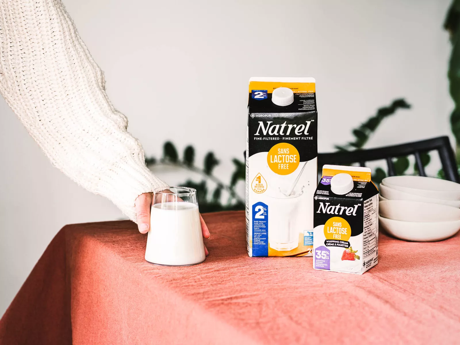 Quelle est la différence entre « sans lactose » et « sans produits laitiers »?