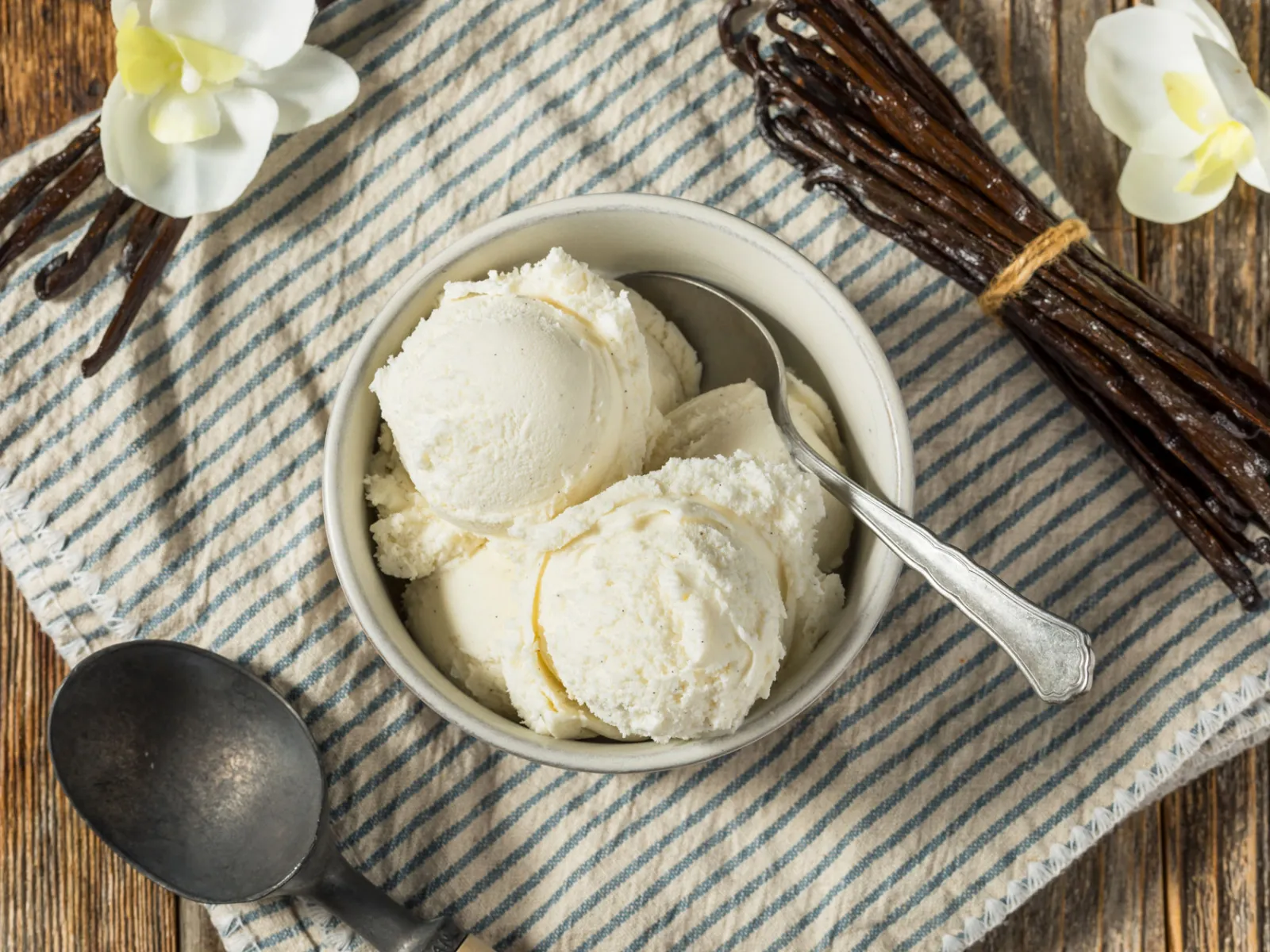 Natrel Homemade Vanilla Ice Cream in a bowl