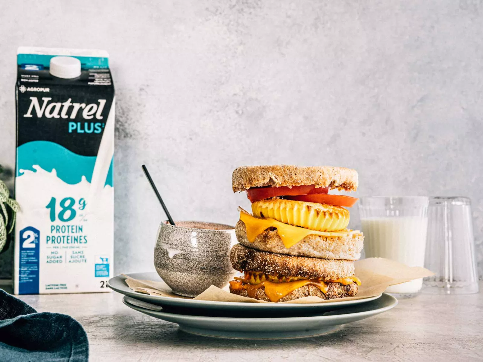 Natrel Plus Protein Breakfast Sandwhich