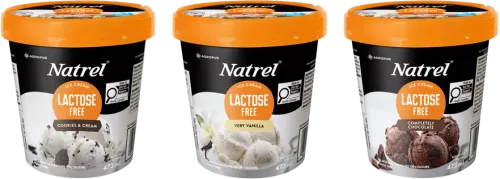 Natrel Lactose Free Ice Cream