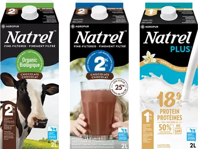 Natrel Flavoured Milks image