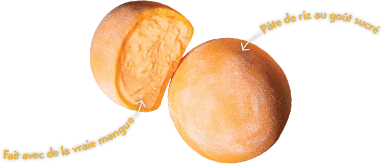 Mochi-Natrel-Mangue-Pate-Riz-sucree