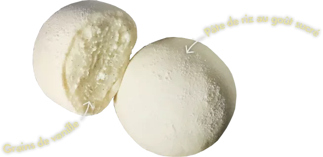 Mochi-Natrel-Vanille-Pate-Riz-sucree