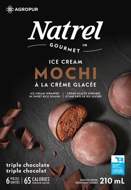 Triple Chocolate Ice Cream Mochi