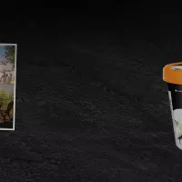 Natrel Lactose Free Ice Cream Gateaway contest rules