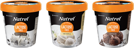 natrel ice cream mochi costco