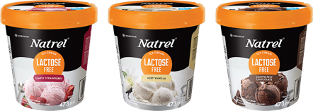 natrel mochi ice cream costco